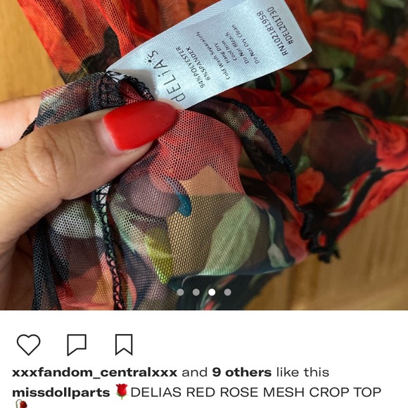 DELIAS ROSE MESH TOP - Picture 4 of 4